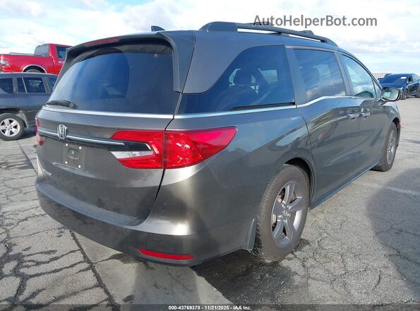 5FNRL6H53NB031074 2022 HONDA ODYSSEY Gray Задня права чверть