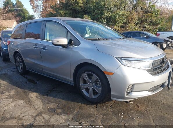 5FNRL6H54NB031018 2022 HONDA ODYSSEY Silver 