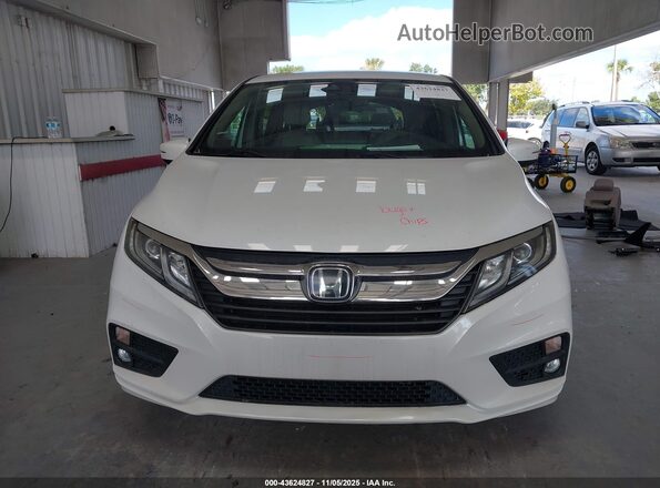 5FNRL6H56LB035102 2020 HONDA ODYSSEY White Вид задньої частини салону