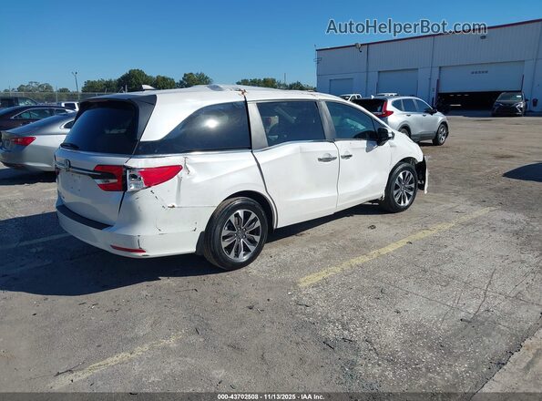 5FNRL6H61RB069417 2024 HONDA ODYSSEY White უკანა მარჯვენა