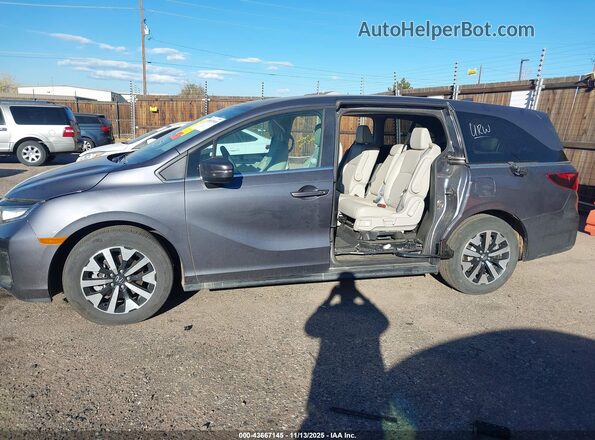 5FNRL6H64SB073676 2025 HONDA ODYSSEY Gray Панорамний вид салону 360°