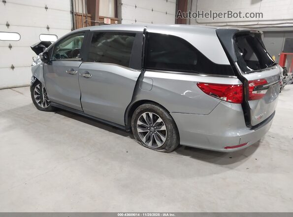 5FNRL6H65RB065483 2024 HONDA ODYSSEY Gray Trasero izquierdo