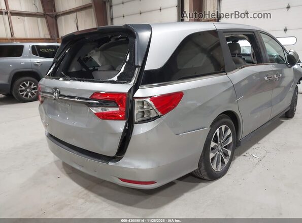 5FNRL6H65RB065483 2024 HONDA ODYSSEY Gray 