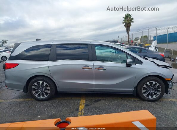 5FNRL6H68RB052324 2024 HONDA ODYSSEY Silver Панорамний вид салону 360°