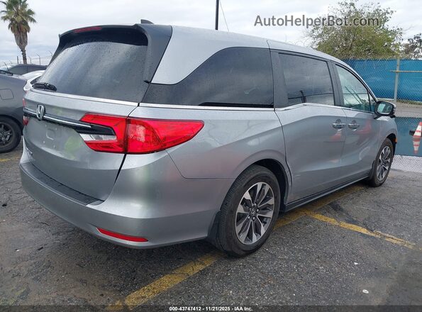 5FNRL6H68RB052324 2024 HONDA ODYSSEY Silver Задня права чверть