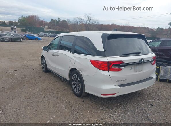 5FNRL6H69RB069455 2024 HONDA ODYSSEY White Задня ліва чверть