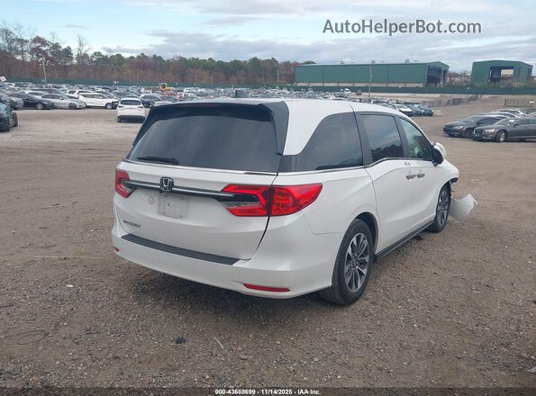 5FNRL6H69RB069455 2024 HONDA ODYSSEY White Задня права чверть