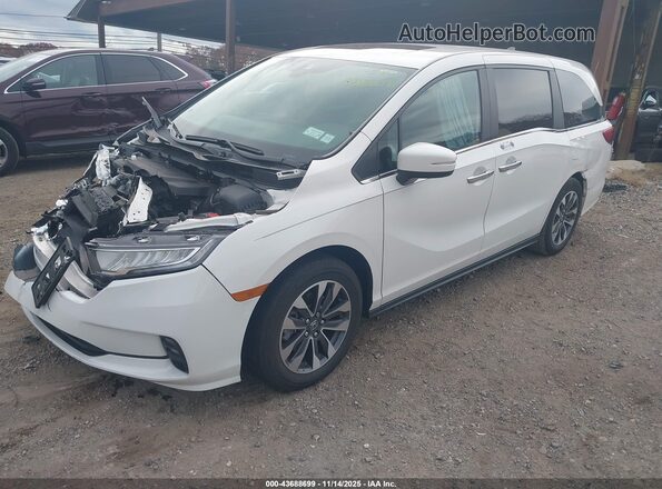 5FNRL6H69RB069455 2024 HONDA ODYSSEY White Передня ліва чверть