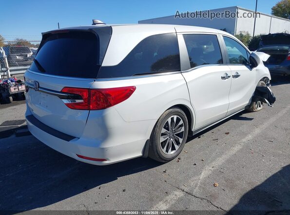 5FNRL6H70MB010053 2021 HONDA ODYSSEY White Tył prawy