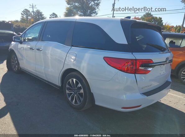 5FNRL6H70MB010053 2021 HONDA ODYSSEY White Tył lewy