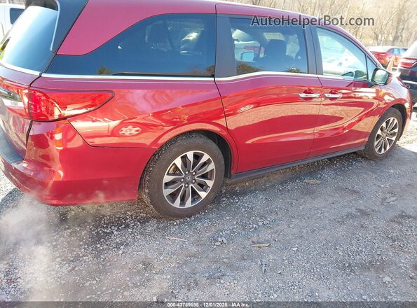 5FNRL6H71NB019507 2022 HONDA ODYSSEY Red Հետևի աջ