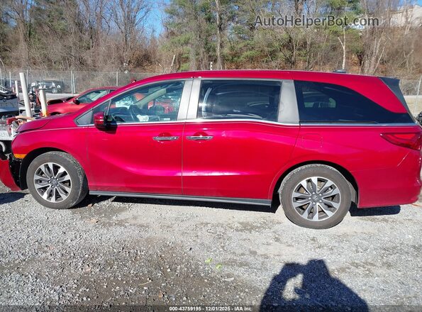 5FNRL6H71NB019507 2022 HONDA ODYSSEY Red Սալոնի 360 աստիճան տեսք