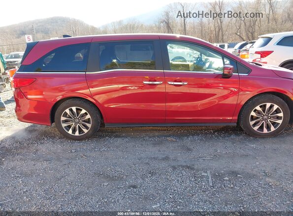 5FNRL6H71NB019507 2022 HONDA ODYSSEY Red Սալոնի հետևի տեսք