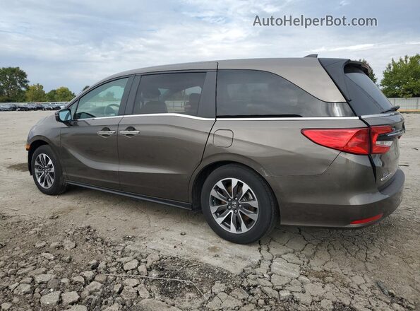 5FNRL6H73MB021144 2021 HONDA ODYSSEY Gray Հետևի ձախ