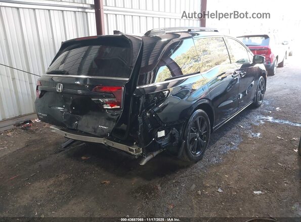 5FNRL6H73RB041028 2024 HONDA ODYSSEY Black Rear right