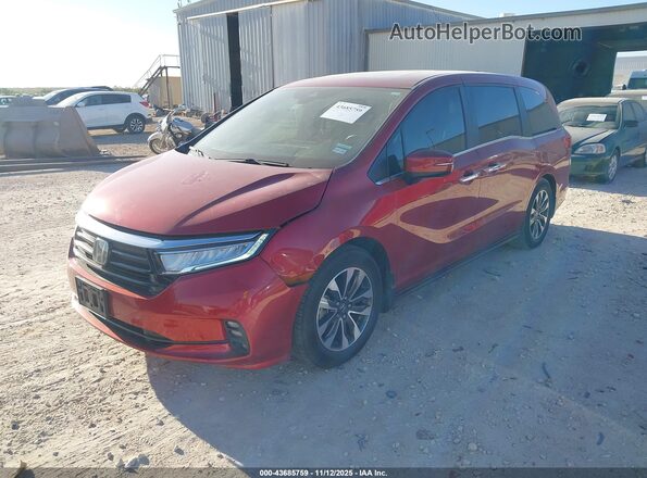 5FNRL6H76NB000497 2022 HONDA ODYSSEY Red Vista tres cuartos delantera izquierda