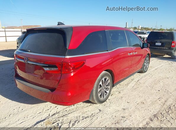 5FNRL6H76NB000497 2022 HONDA ODYSSEY Red Trasero derecho