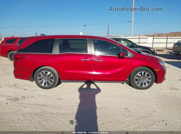 5FNRL6H76NB000497 2022 HONDA ODYSSEY Red Vista interior trasera
