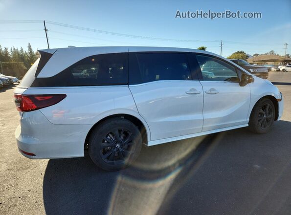 5FNRL6H76RB065064 2024 HONDA ODYSSEY White Tył prawy