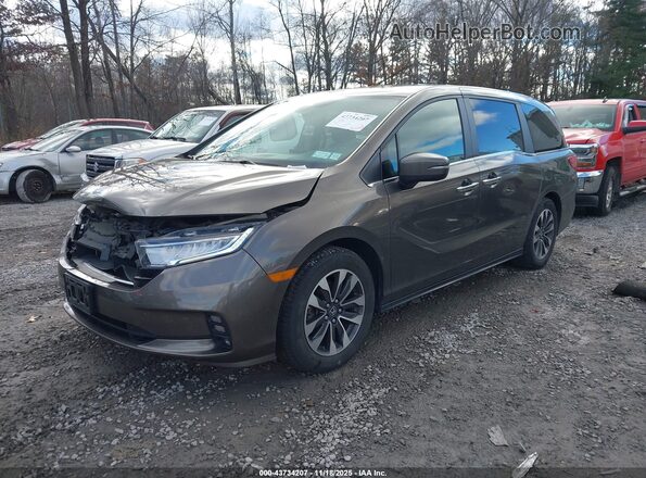 5FNRL6H79MB027496 2021 HONDA ODYSSEY Коричневый Передняя левая четверть