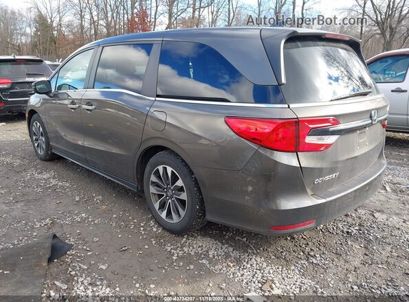 5FNRL6H79MB027496 2021 HONDA ODYSSEY Коричневый Задняя левая четверть