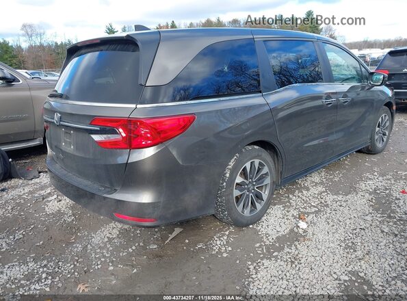 5FNRL6H79MB027496 2021 HONDA ODYSSEY Коричневый Задняя правая четверть