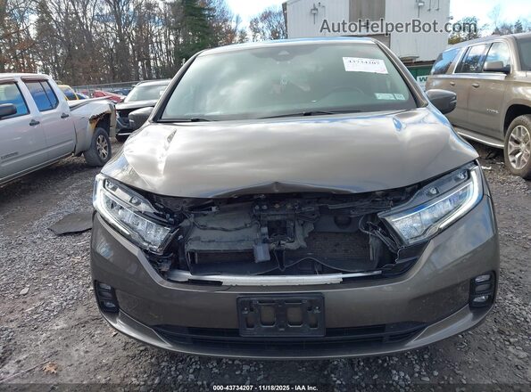 5FNRL6H79MB027496 2021 HONDA ODYSSEY Коричневый Вид спереди