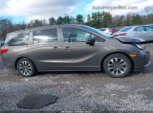 5FNRL6H79MB027496 2021 HONDA ODYSSEY Коричневый Вид задней части салона