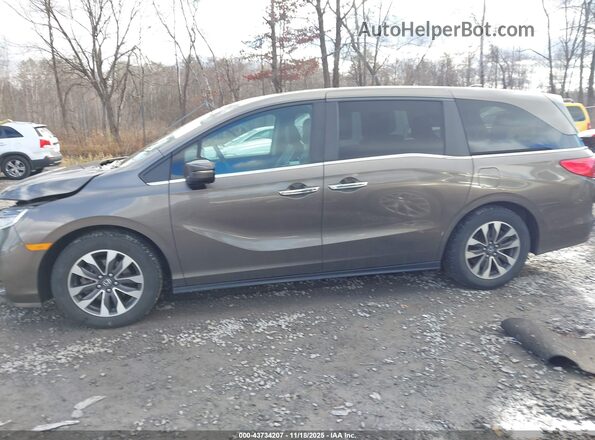 5FNRL6H79MB027496 2021 HONDA ODYSSEY Коричневый Панорамный вид салона 360°