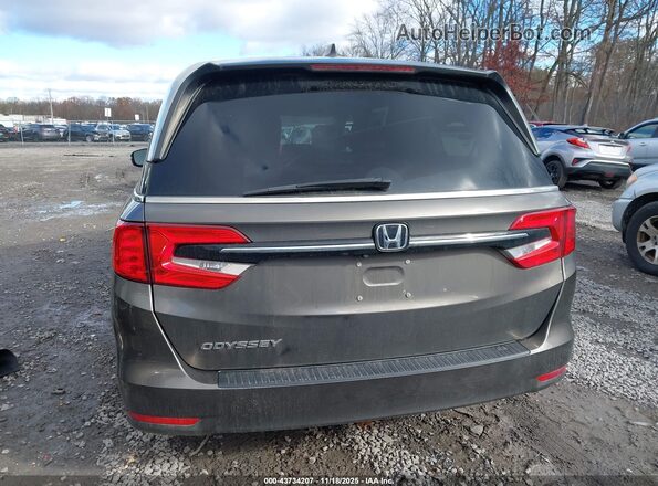 5FNRL6H79MB027496 2021 HONDA ODYSSEY Коричневый 