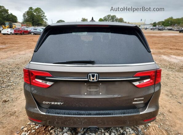 5FNRL6H82NB037300 2022 HONDA ODYSSEY Gray Հետևի տեսք