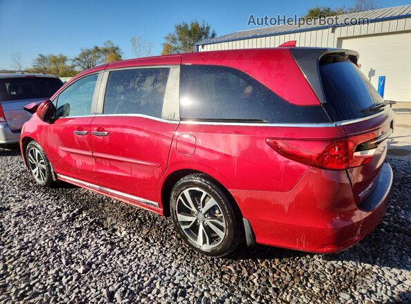 5FNRL6H87RB037797 2024 HONDA ODYSSEY Red Задня ліва чверть