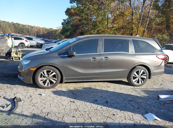5FNRL6H89NB067281 2022 HONDA ODYSSEY Gray Widok wnętrza 360 stopni