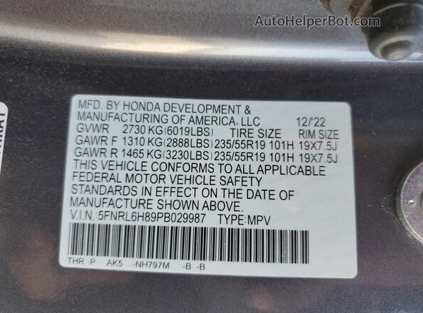 5FNRL6H89PB029987 2023 HONDA ODYSSEY Gray Вид наклейки з VIN-кодом