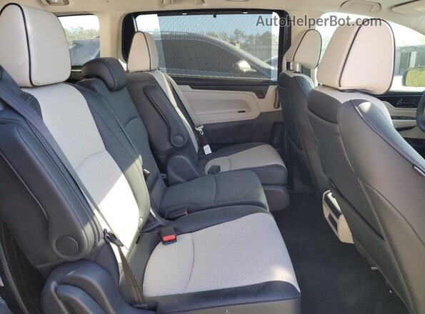 5FNRL6H90SB013842 2025 HONDA ODYSSEY Blue Widok wnętrza z tyłu