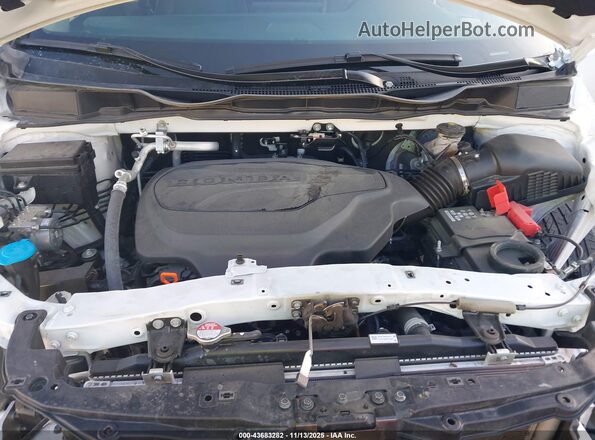 5FNRL6H93RB025591 2024 HONDA ODYSSEY White Widok z tyłu