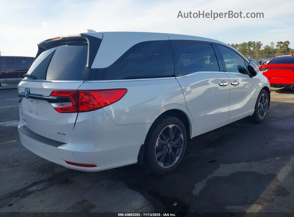 5FNRL6H93RB025591 2024 HONDA ODYSSEY White Tył prawy