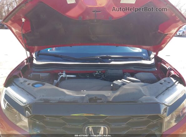 5FNYF8H06NB021271 2022 HONDA PASSPORT Red Widok z tyłu