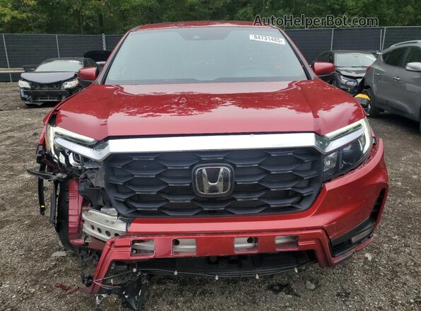 5FNYF8H55RB021988 2024 HONDA PASSPORT Red 