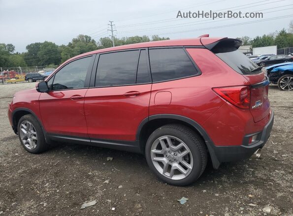 5FNYF8H55RB021988 2024 HONDA PASSPORT Red 