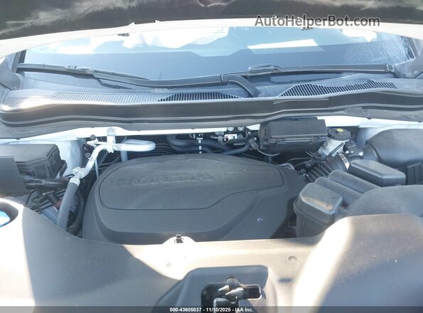 5FNYF8H66NB002997 2022 HONDA PASSPORT White Rear view