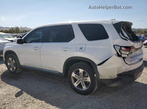 5FNYG2H41PB011716 2023 HONDA PILOT White Հետևի ձախ