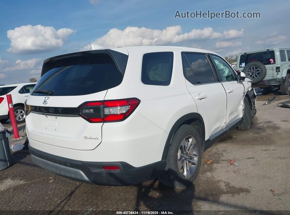 5FNYG2H48RB014910 2024 HONDA PILOT White Rear right