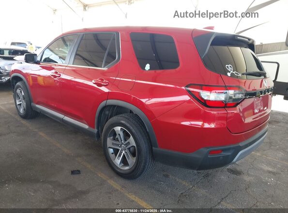 5FNYG2H50PB015572 2023 HONDA PILOT Burgundy Trasero izquierdo