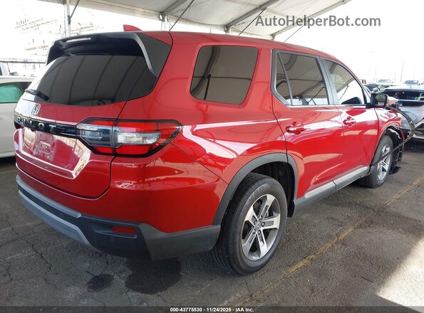 5FNYG2H50PB015572 2023 HONDA PILOT Burgundy Trasero derecho