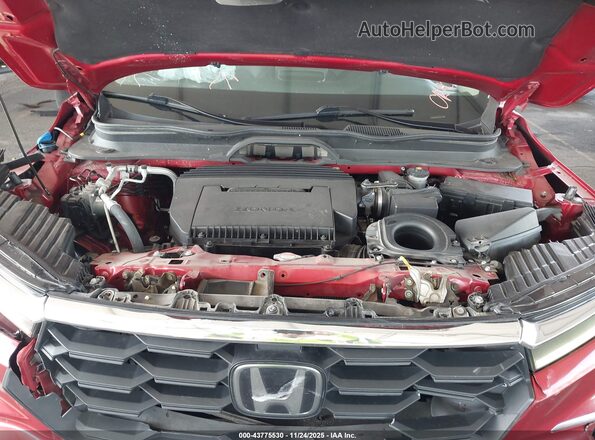5FNYG2H50PB015572 2023 HONDA PILOT Burgundy Vista trasera