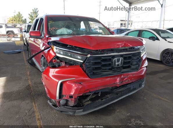 5FNYG2H50PB015572 2023 HONDA PILOT Burgundy Vista frontal