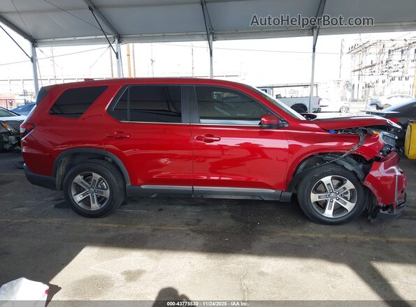 5FNYG2H50PB015572 2023 HONDA PILOT Burgundy Vista interior trasera