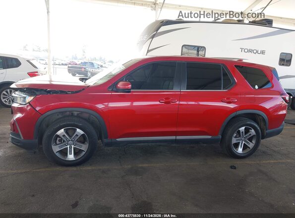 5FNYG2H50PB015572 2023 HONDA PILOT Burgundy Vista interior de 360 grados