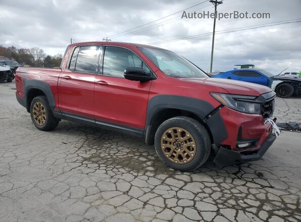 5FPYK3F10MB007284 2021 HONDA RIDGELINE Red Przód prawy